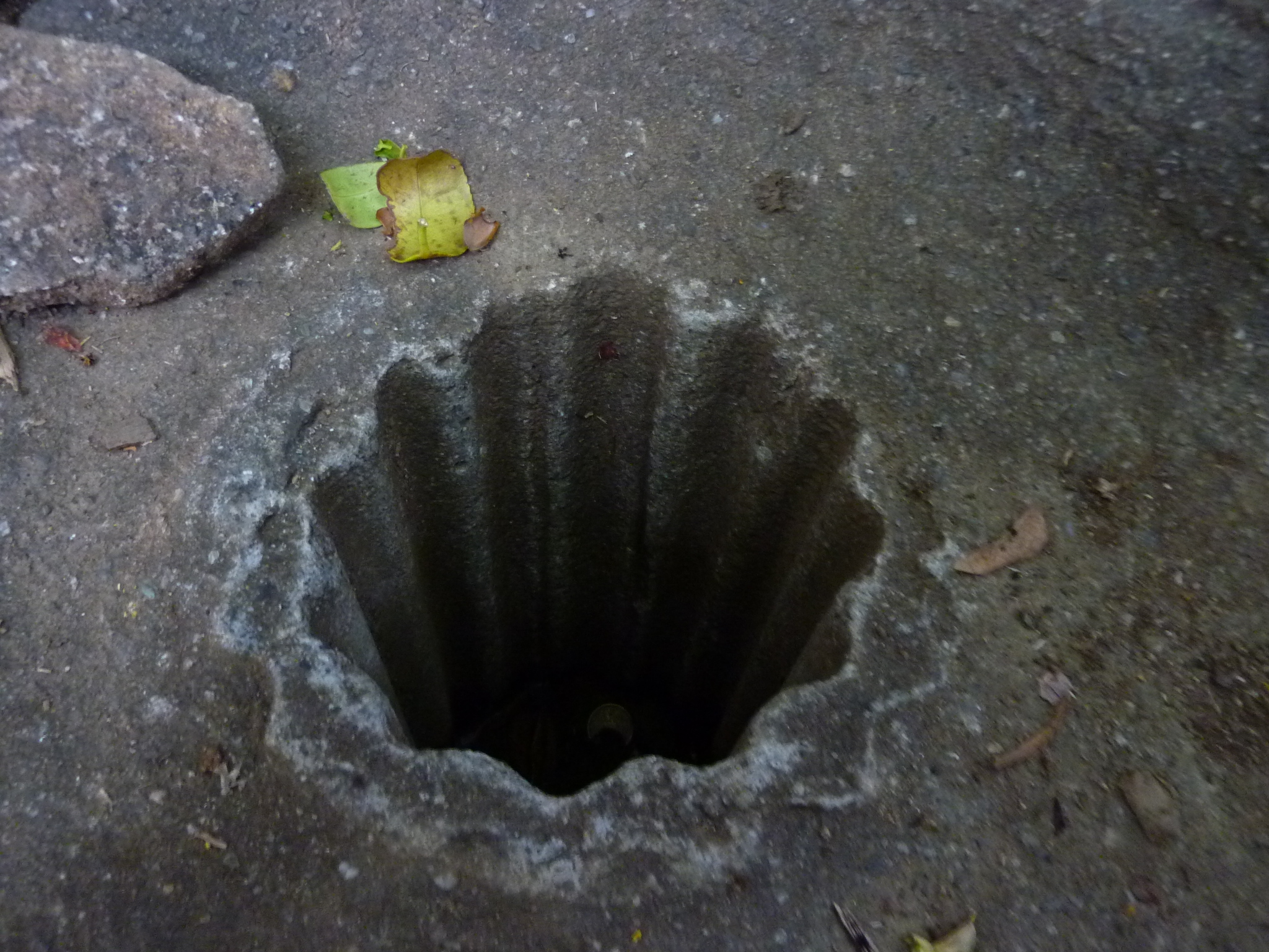 P1020245.JPG