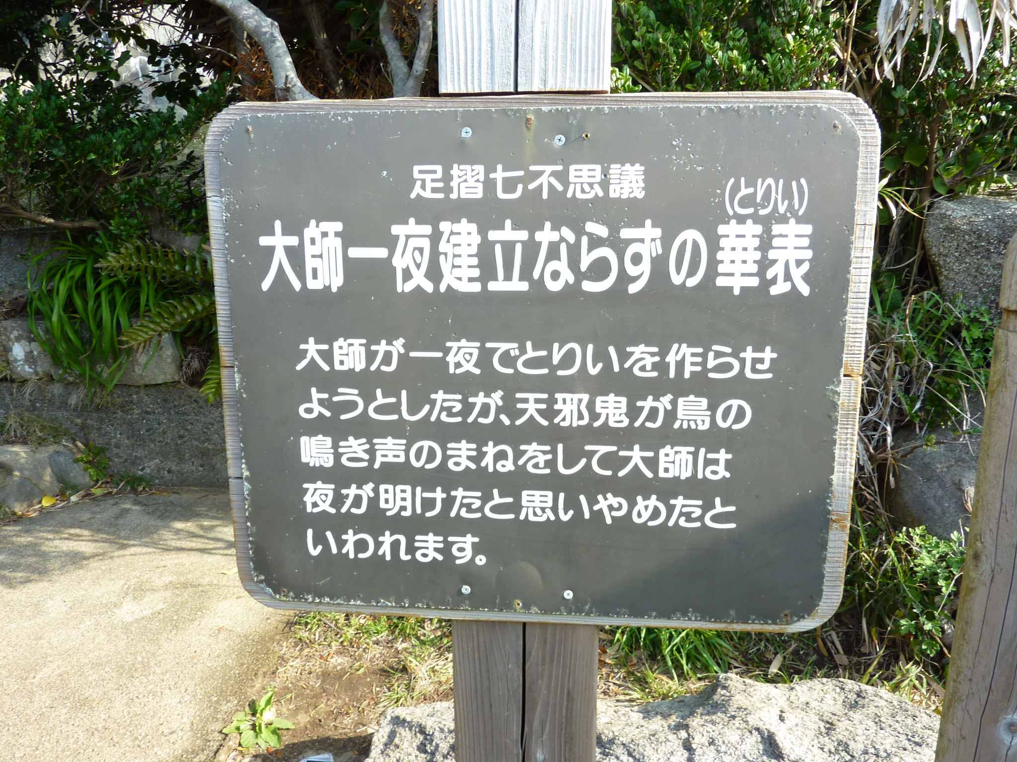 P1020255.JPG