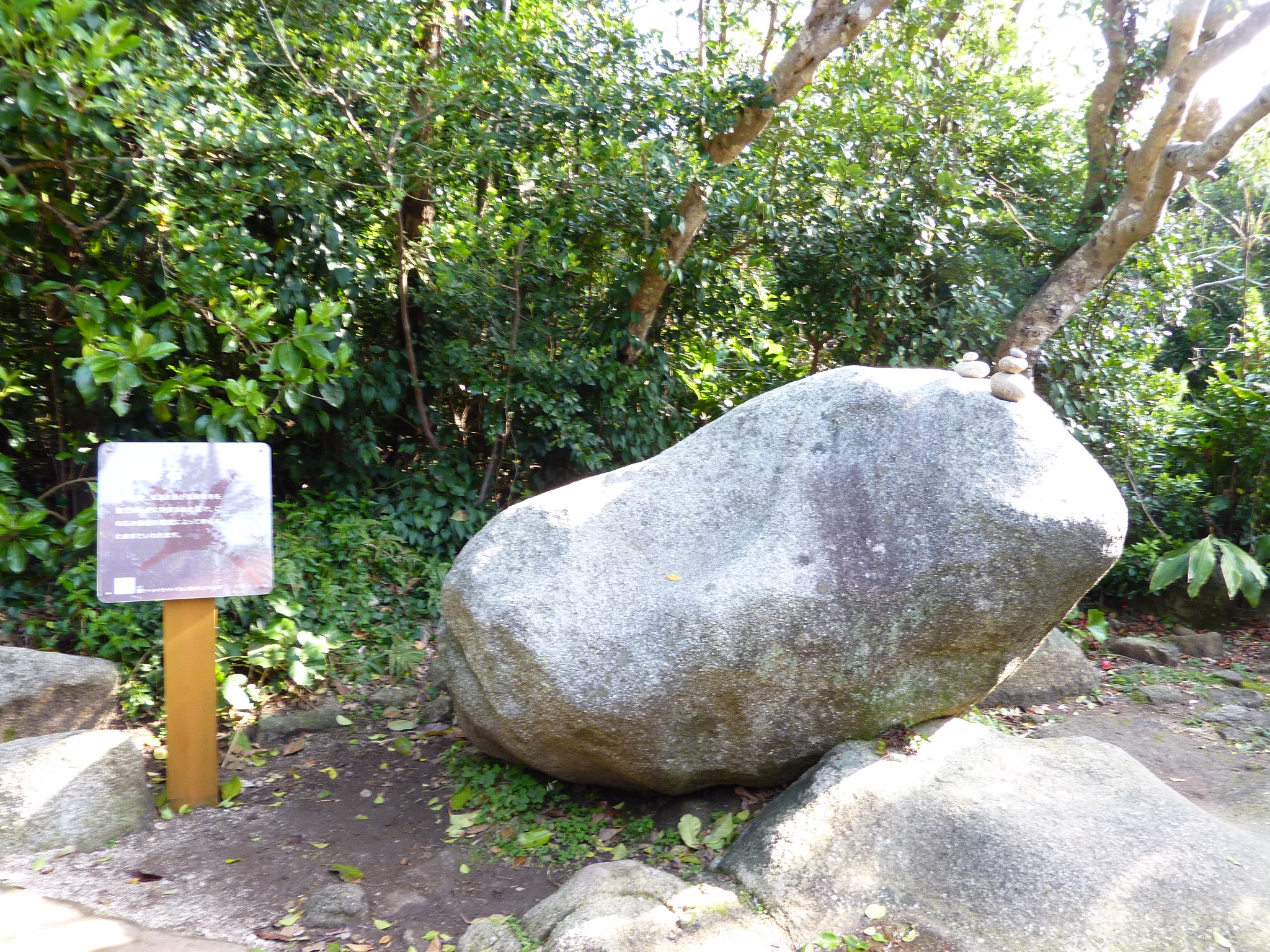 P1020257.JPG