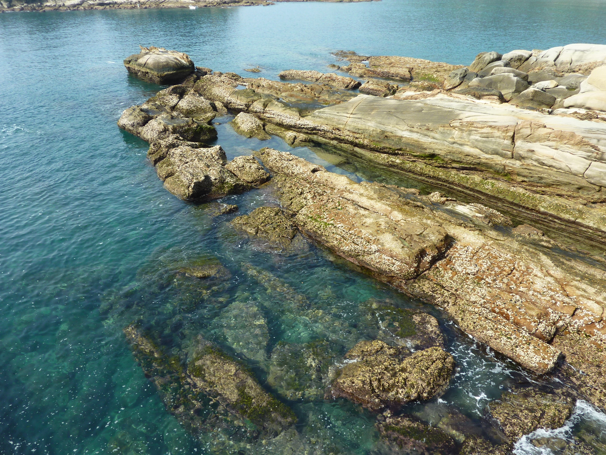 P1020284.JPG