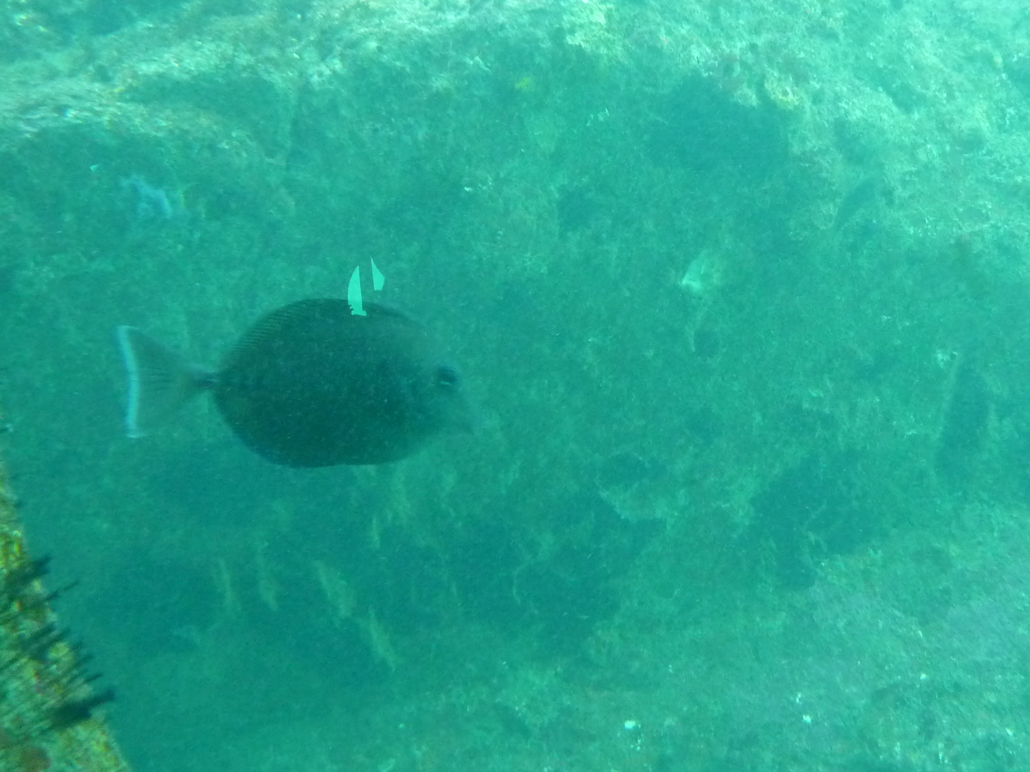 P1020290.JPG