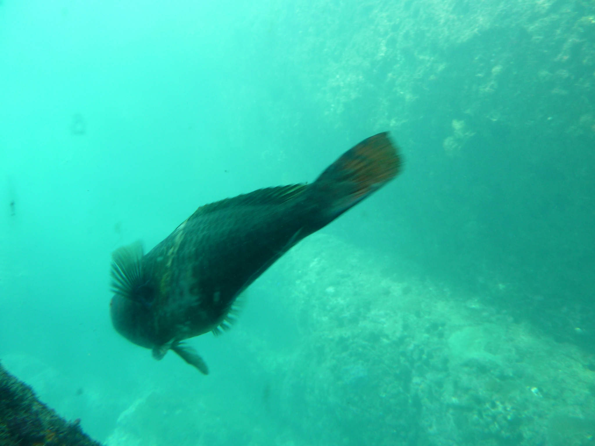 P1020316.JPG
