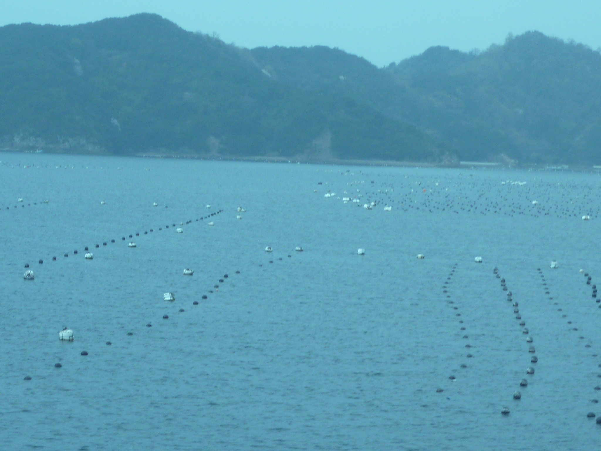 P1020336.JPG