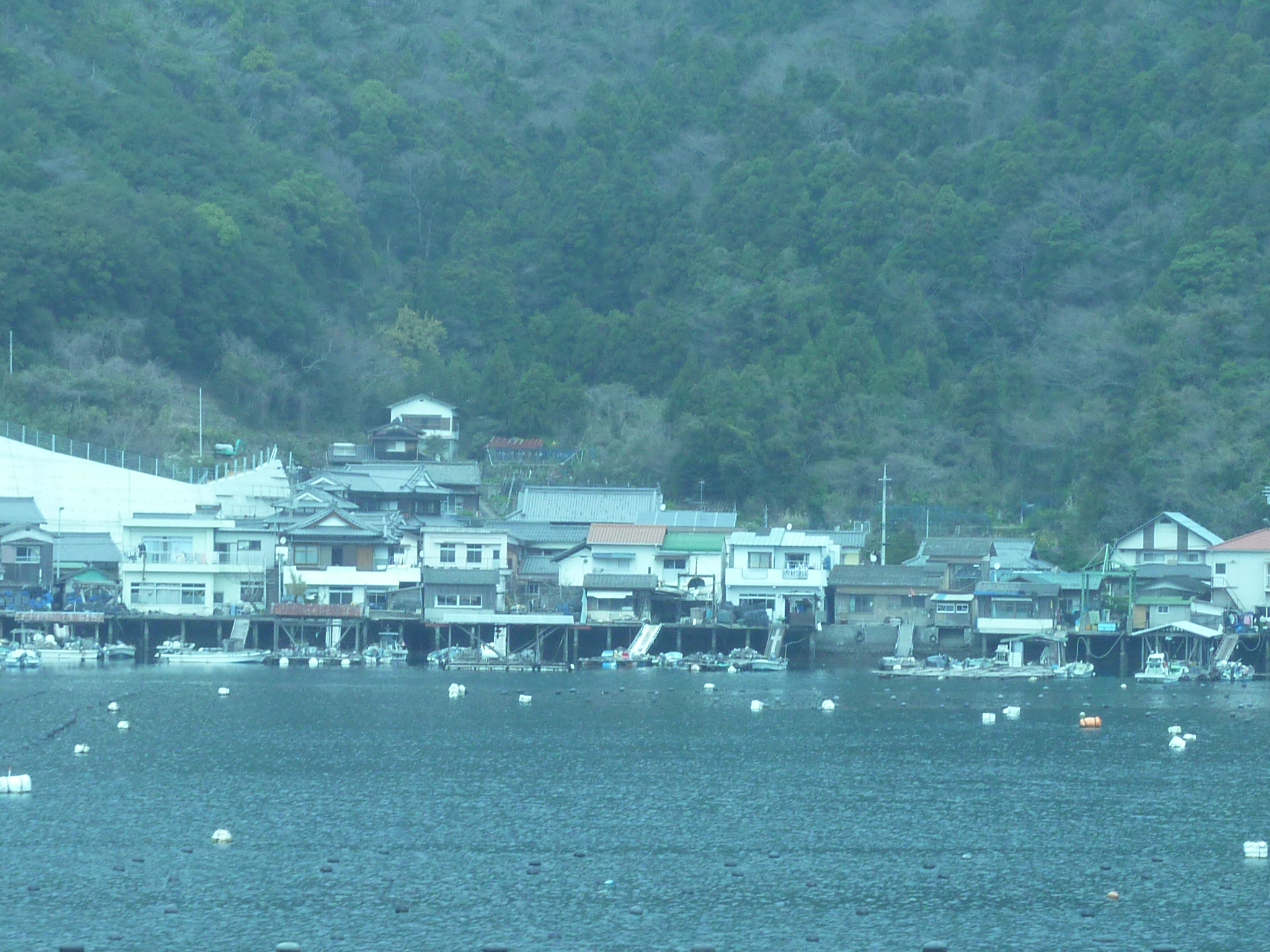 P1020337.JPG