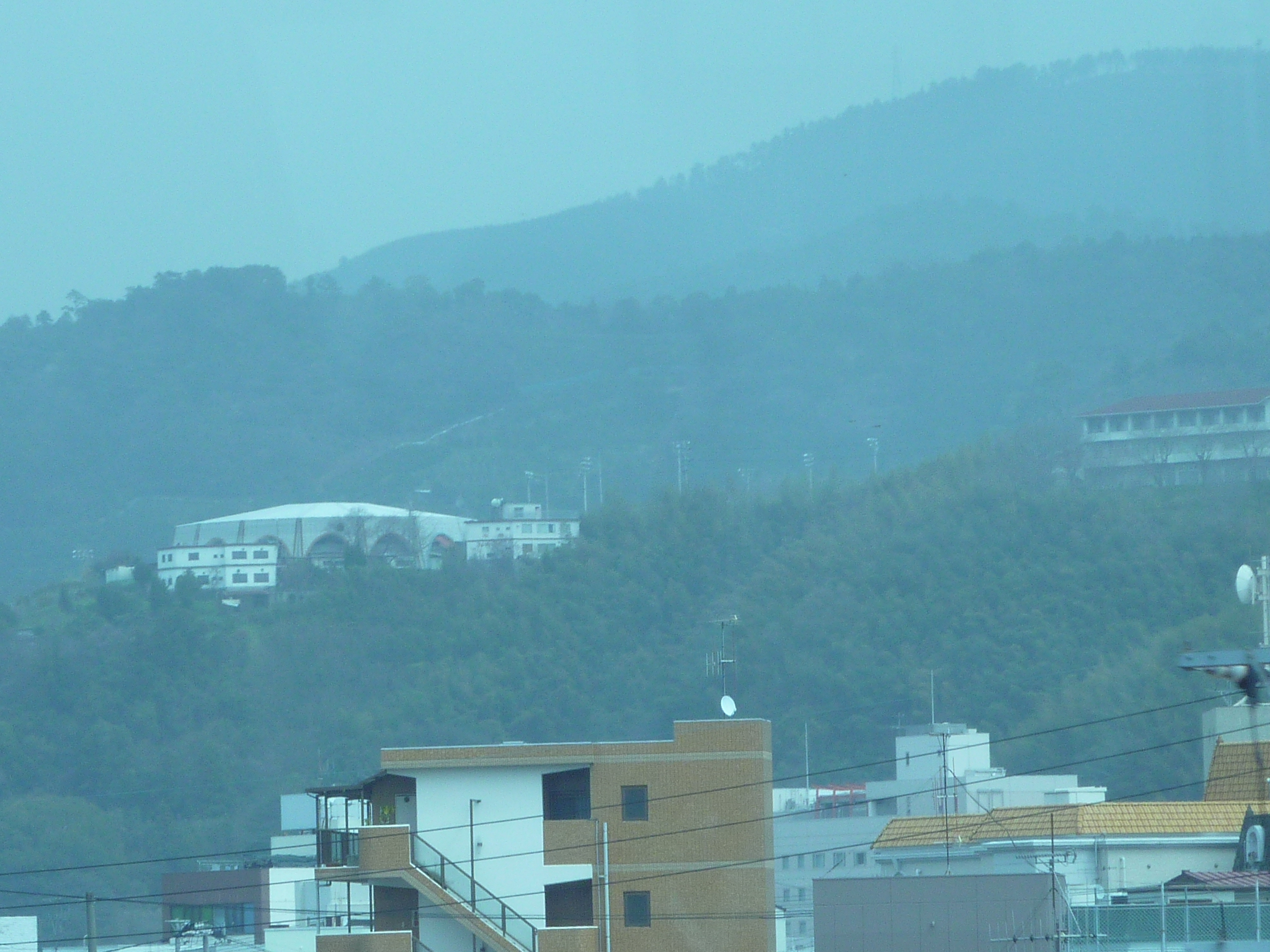 P1020347.JPG