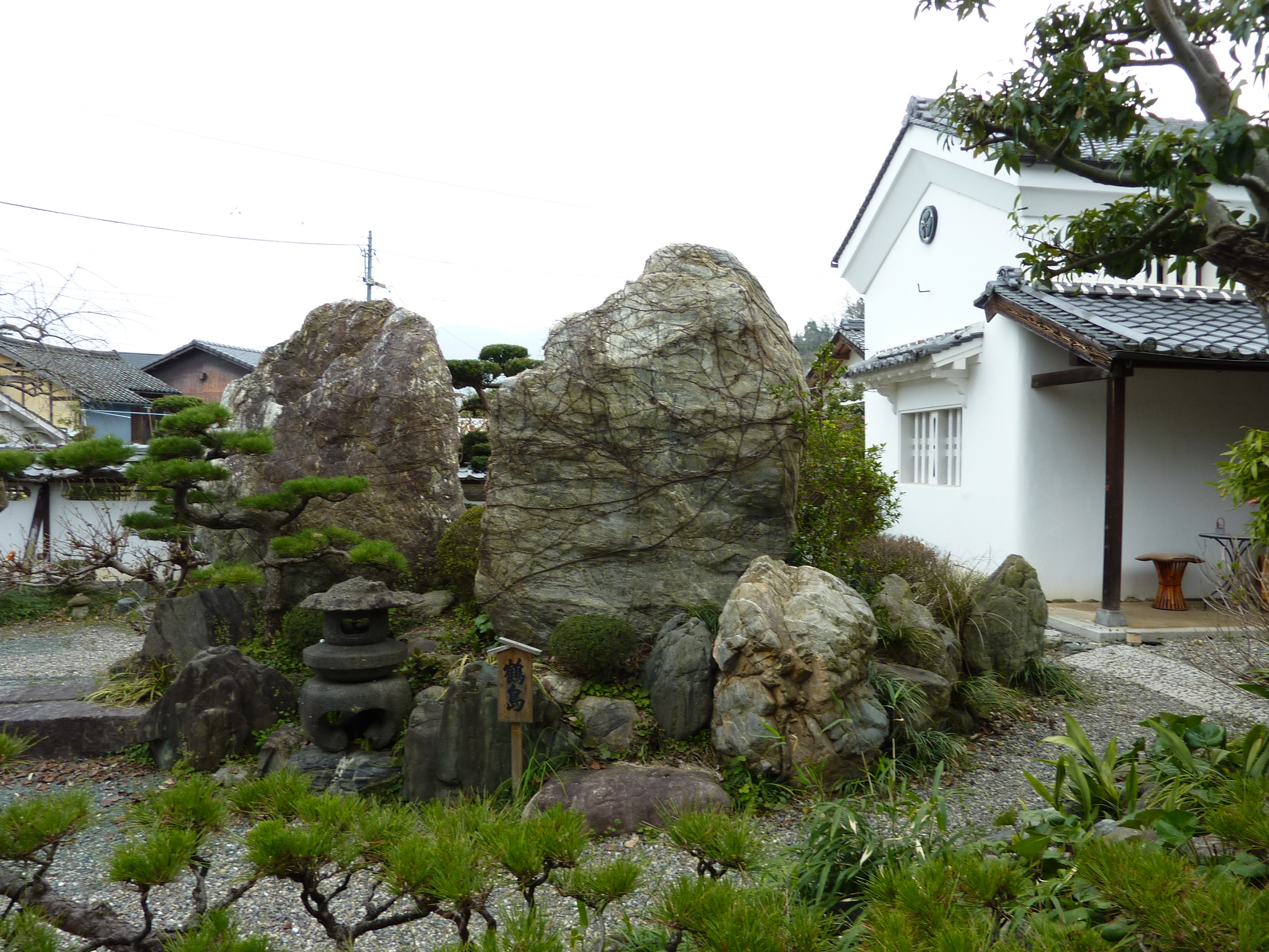 P1020474.JPG