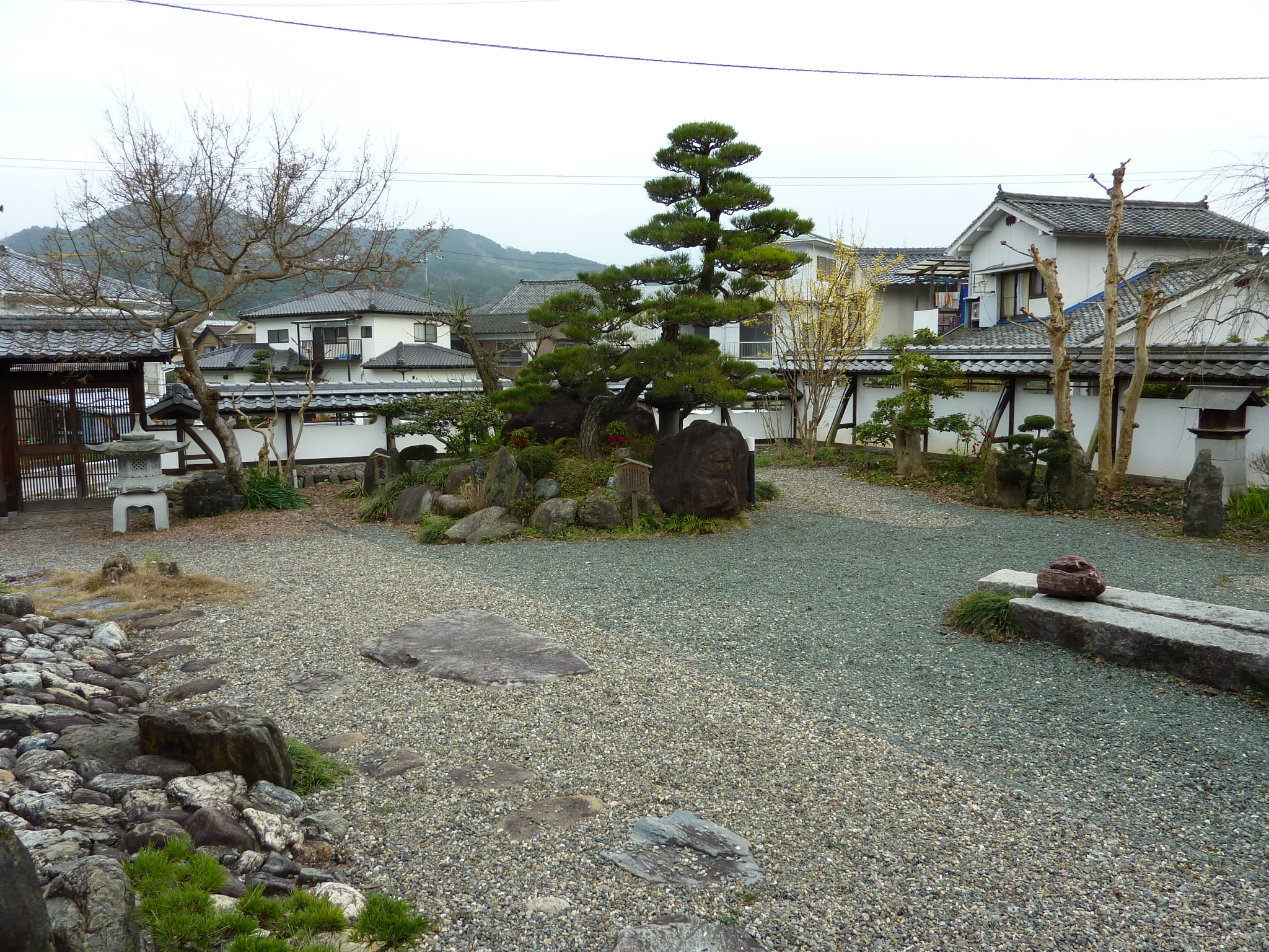 P1020475.JPG