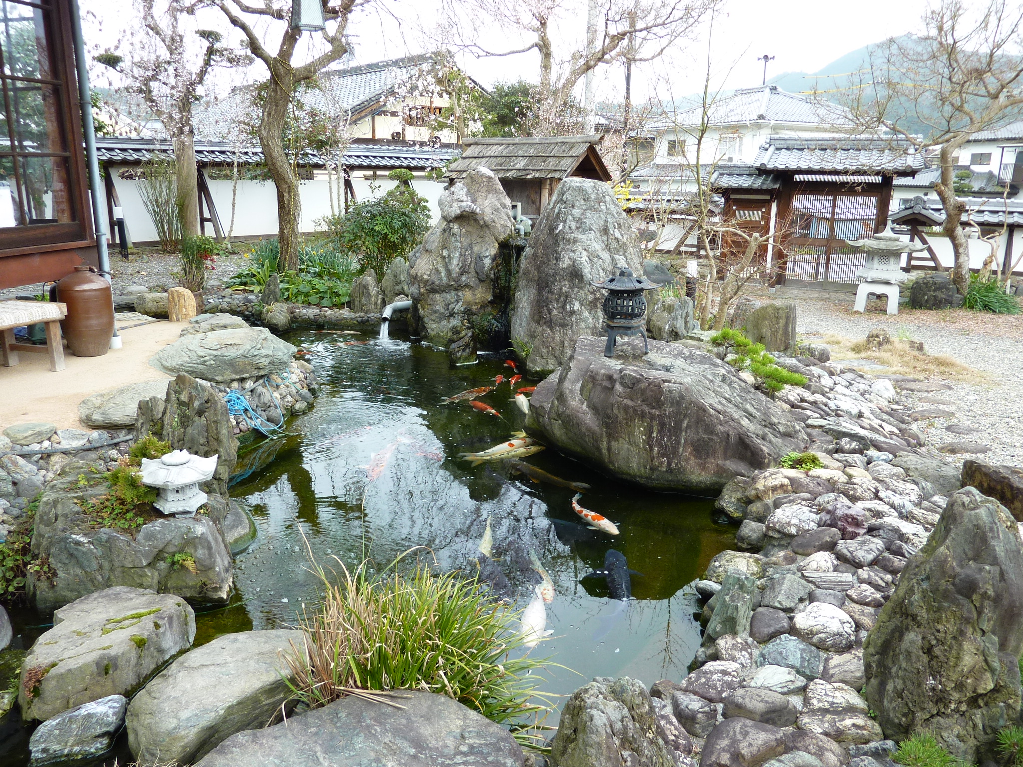 P1020476.JPG