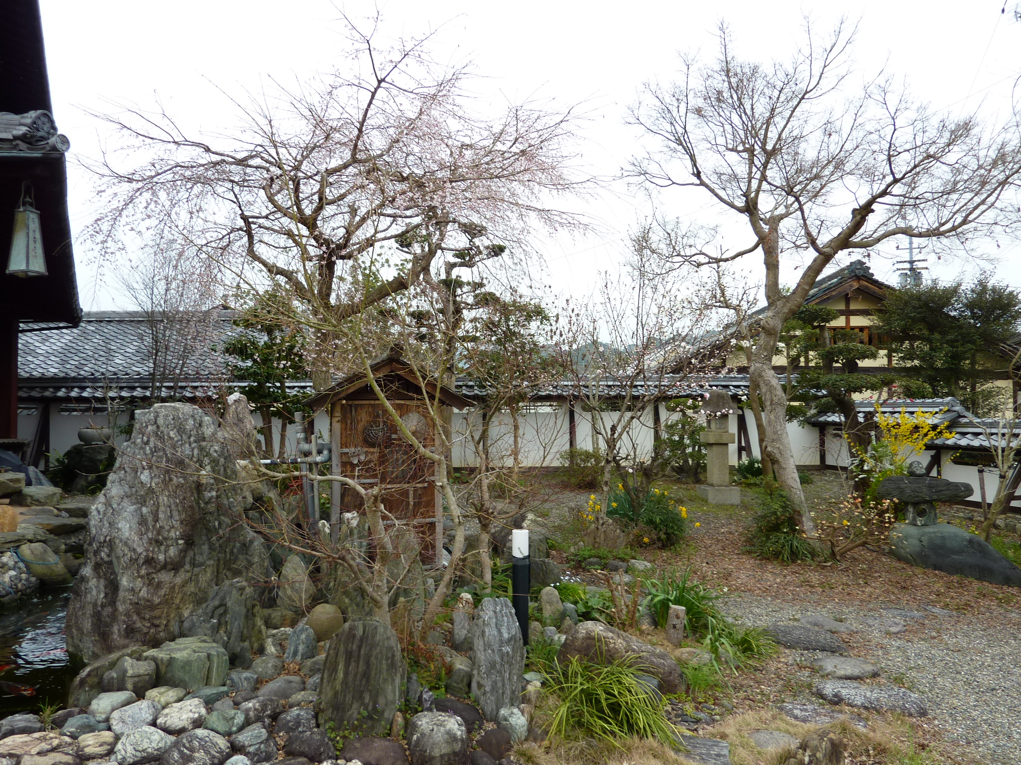 P1020477.JPG