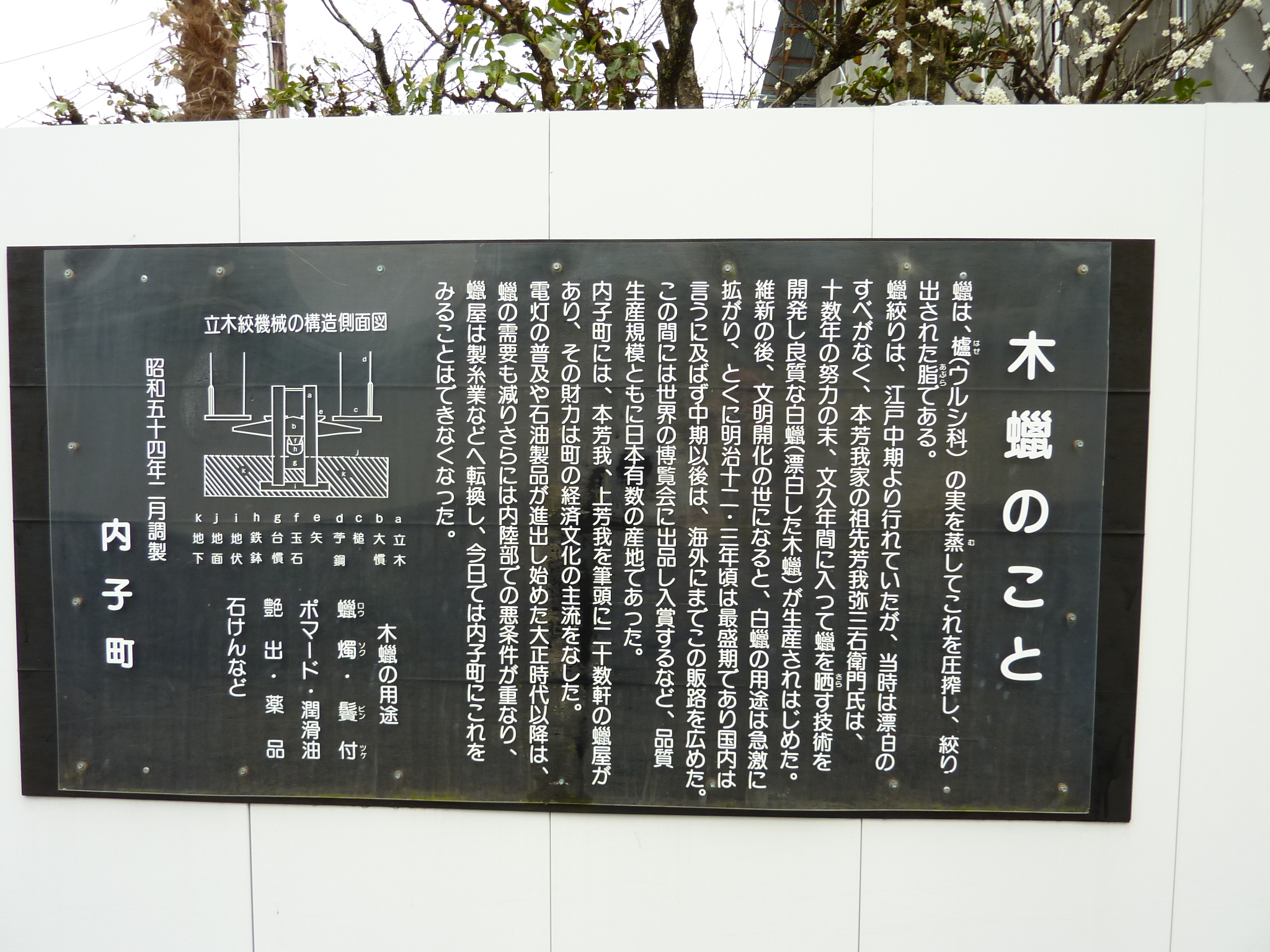 P1020489.JPG