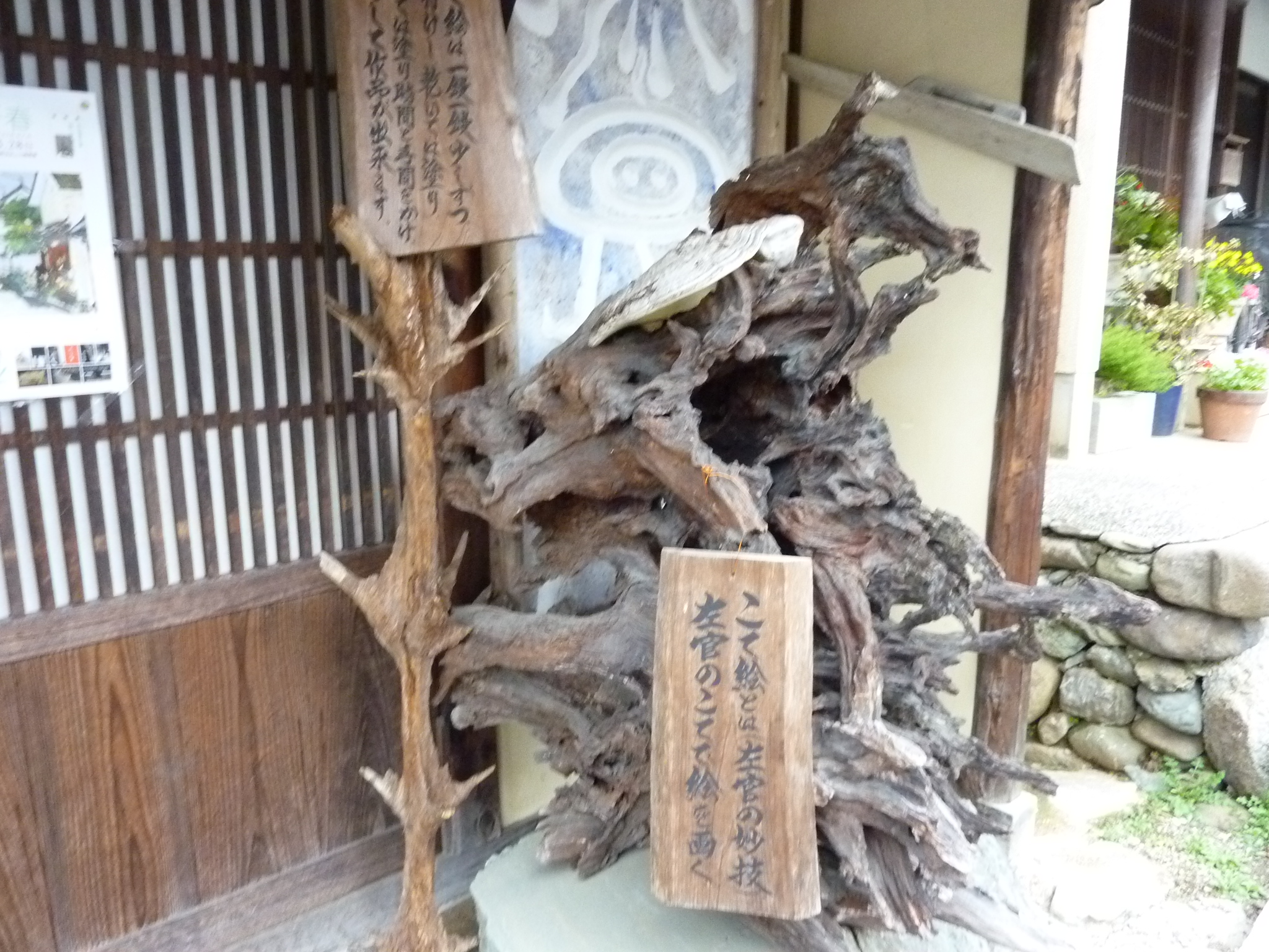 P1020491.JPG