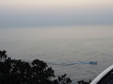 img0007.jpg