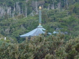 img0008.jpg