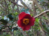 img0015.jpg
