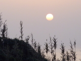 img0024.jpg