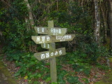 img0033.jpg