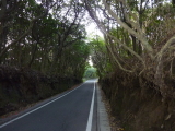 img0035.jpg