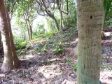 img0048.jpg