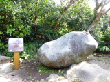 img0062.jpg