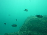 img0104.jpg