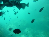 img0105.jpg