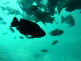 img0106.jpg