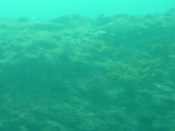 img0119.jpg