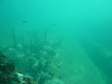 img0122.jpg