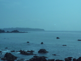 img0131.jpg