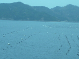 img0138.jpg