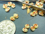 img0250.jpg