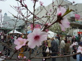img0002.jpg