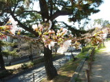 img0001.jpg