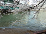 img0022.jpg