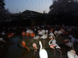 img0023.jpg