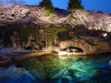 img0035.jpg