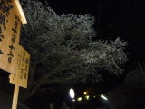 img0057.jpg