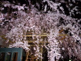 img0059.jpg