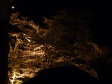 img0061.jpg