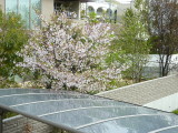 img0000.jpg