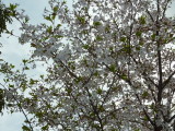 img0002.jpg