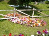 img0003.jpg