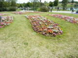 img0004.jpg