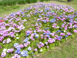 img0005.jpg