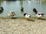 img0014.jpg