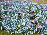 img0018.jpg