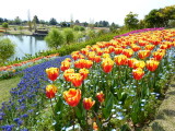 img0020.jpg