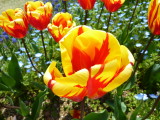img0021.jpg