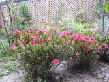 img0000.jpg