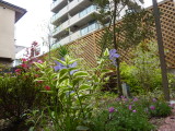 img0005.jpg